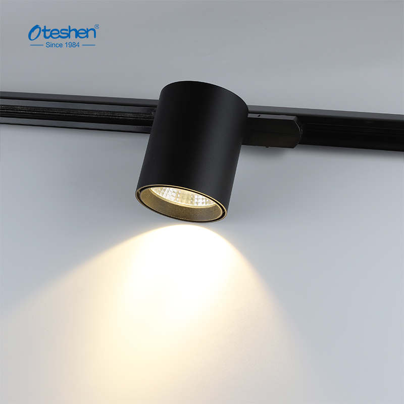 我可以在旧轨道灯上安装现代灯吗？