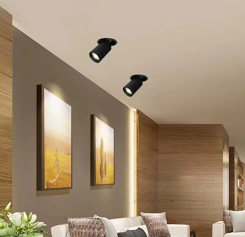 <h2><span style='font-size:20px;'>LED Downlight</span></h2> 