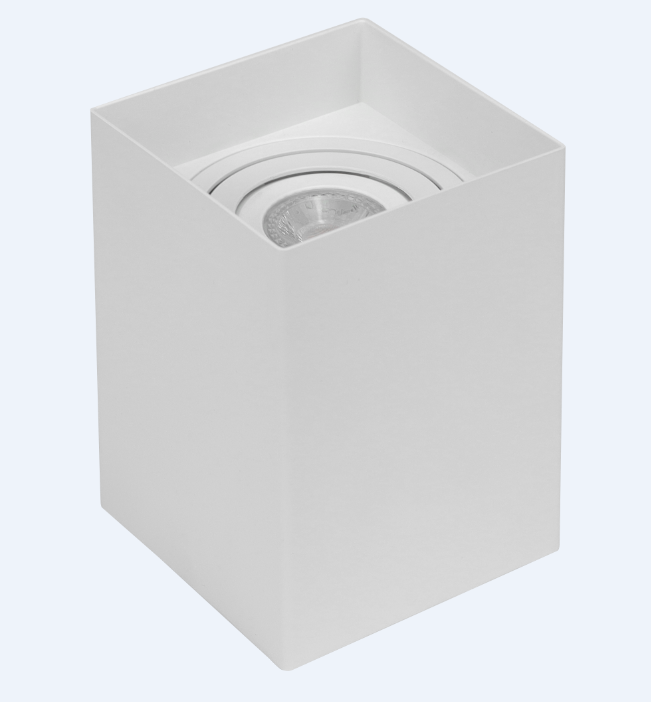 Surface Mounted Downlight Fixture