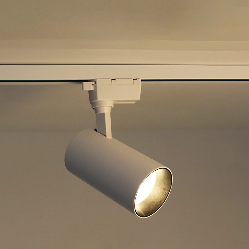 No-main-light design - Vigtigheden af ​​at bruge sporlys i hjemmet